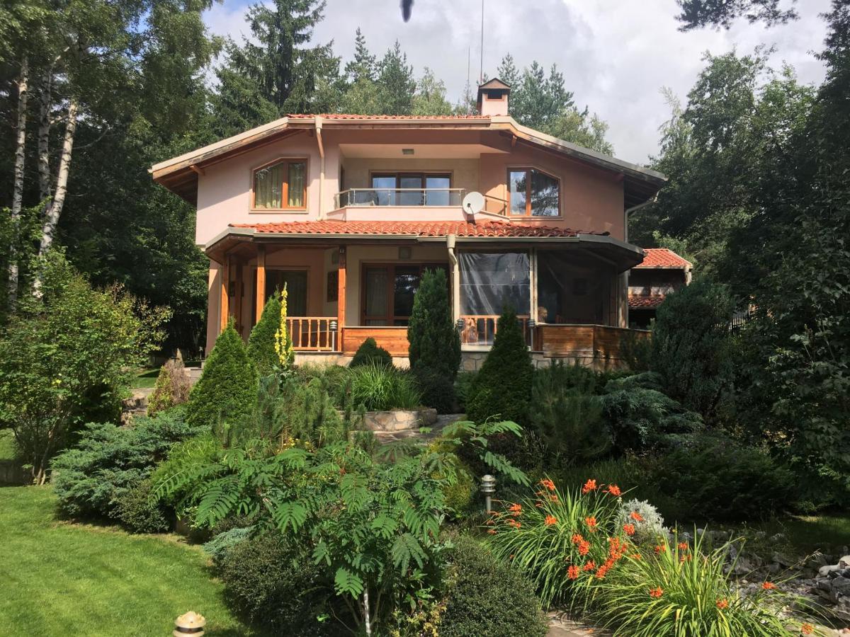 Luxury Villa Borina Zseleznica Kültér fotó