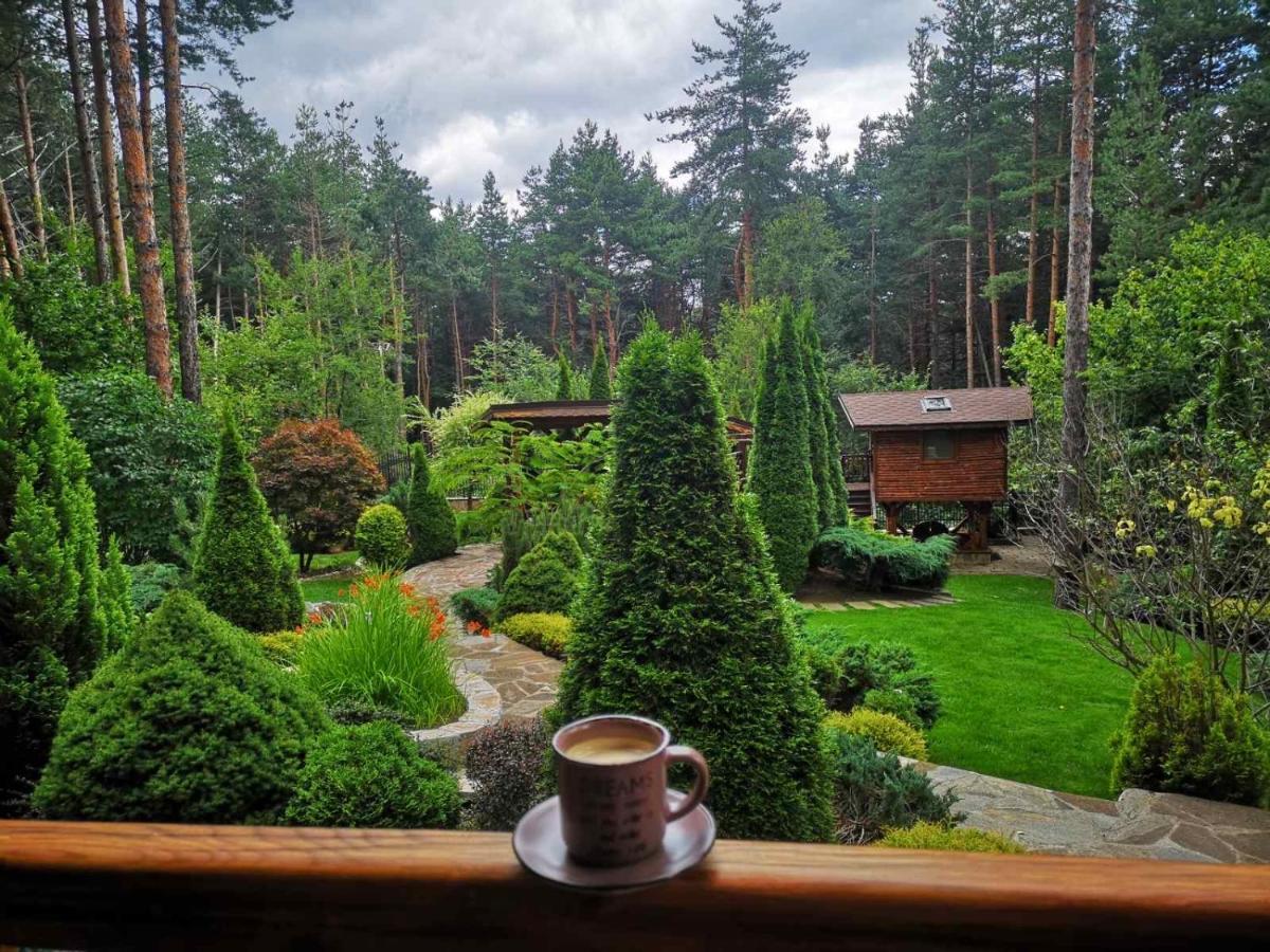 Luxury Villa Borina Zseleznica Kültér fotó