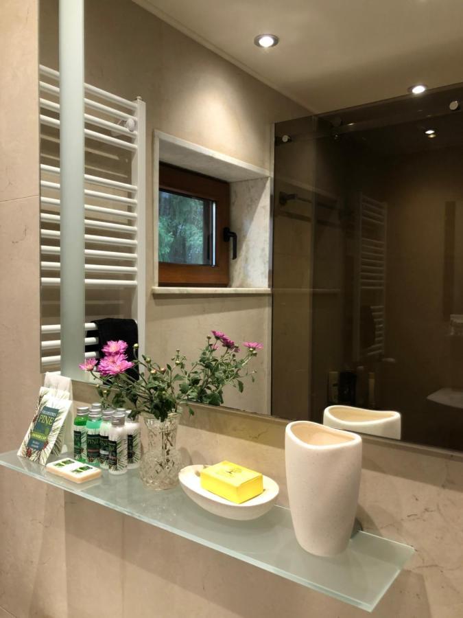 Luxury Villa Borina Zseleznica Kültér fotó