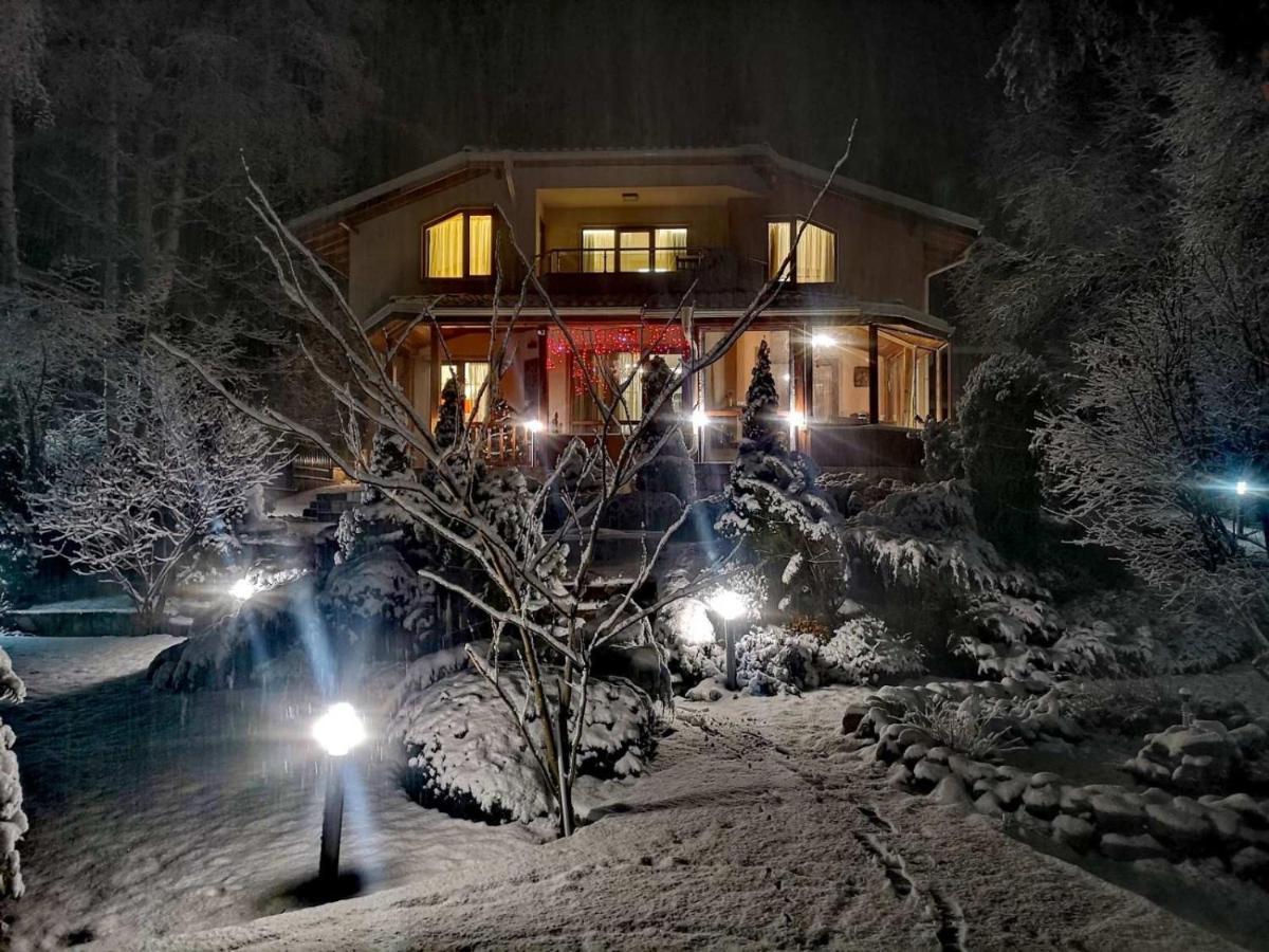 Luxury Villa Borina Zseleznica Kültér fotó