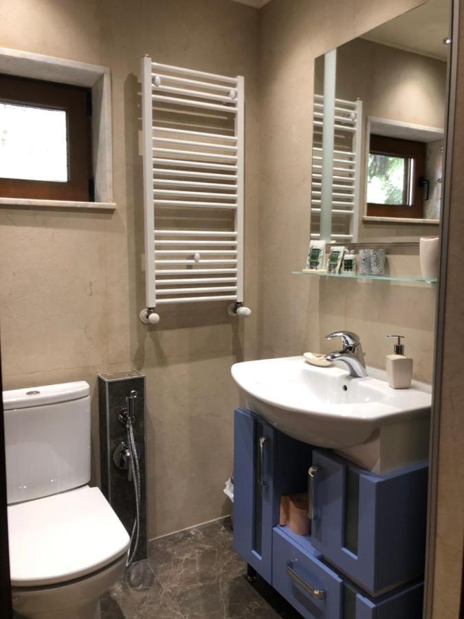 Luxury Villa Borina Zseleznica Kültér fotó